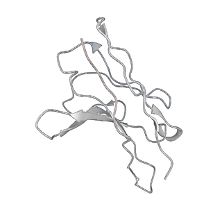 24075_7mxp_K_v1-1
Cryo-EM structure of NTD-directed neutralizing antibody LP5 Fab in complex with SARS-CoV-2 S2P spike