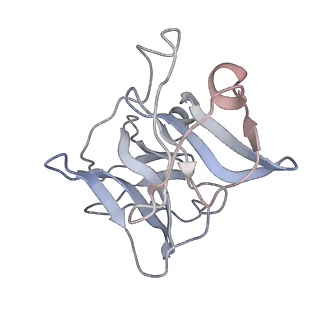 9280_6mx4_F_v1-2
CryoEM structure of chimeric Eastern Equine Encephalitis Virus