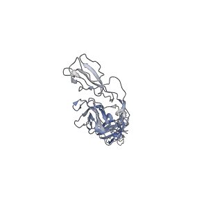 9280_6mx4_H_v1-2
CryoEM structure of chimeric Eastern Equine Encephalitis Virus