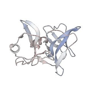 9280_6mx4_I_v1-2
CryoEM structure of chimeric Eastern Equine Encephalitis Virus