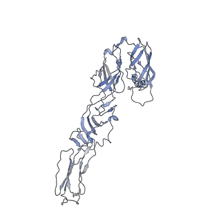9280_6mx4_J_v1-2
CryoEM structure of chimeric Eastern Equine Encephalitis Virus
