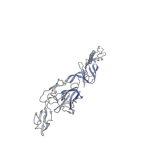 9280_6mx4_K_v1-2
CryoEM structure of chimeric Eastern Equine Encephalitis Virus