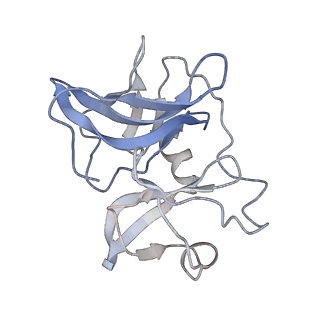 9280_6mx4_L_v1-2
CryoEM structure of chimeric Eastern Equine Encephalitis Virus