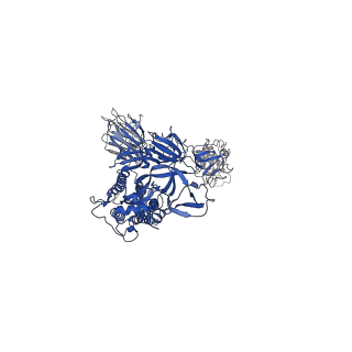 24077_7my2_C_v1-2
CryoEM structure of neutralizing nanobody Nb30 in complex with SARS-CoV2 spike