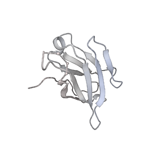 24078_7my3_D_v1-2
CryoEM structure of neutralizing nanobody Nb12 in complex with SARS-CoV2 spike