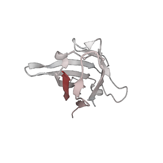 24078_7my3_H_v1-2
CryoEM structure of neutralizing nanobody Nb12 in complex with SARS-CoV2 spike