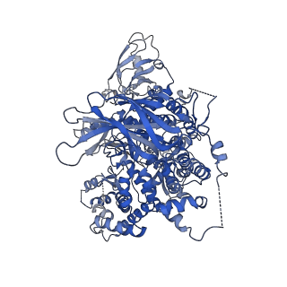 24081_7myn_A_v1-1
Cryo-EM Structure of p110alpha in complex with p85alpha