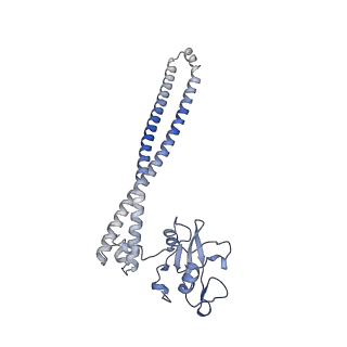 24081_7myn_B_v1-1
Cryo-EM Structure of p110alpha in complex with p85alpha