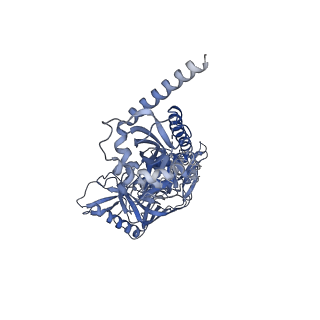 9294_6myy_E_v1-1
Germline VRC01 antibody recognition of a modified clade C HIV-1 envelope trimer, 3 Fabs bound, sharpened map