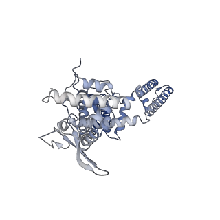 24083_7mz5_A_v1-1
Cryo-EM structure of RTX-bound full-length TRPV1 in C2 state