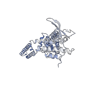 24083_7mz5_C_v1-1
Cryo-EM structure of RTX-bound full-length TRPV1 in C2 state