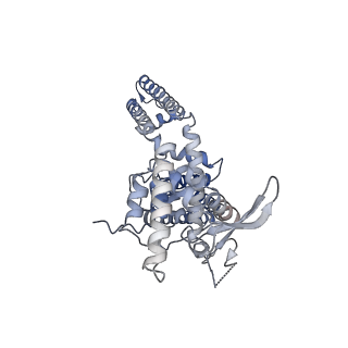 24083_7mz5_D_v1-1
Cryo-EM structure of RTX-bound full-length TRPV1 in C2 state
