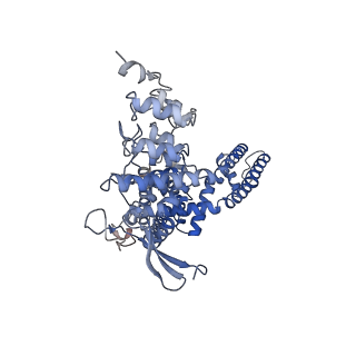 24085_7mz7_A_v1-1
Cryo-EM structure of minimal TRPV1 with 4 partially bound RTX