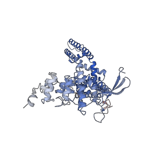 24085_7mz7_D_v1-1
Cryo-EM structure of minimal TRPV1 with 4 partially bound RTX
