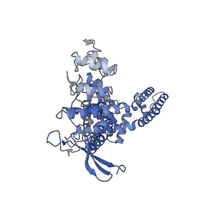 24086_7mz9_A_v1-1
Cryo-EM structure of minimal TRPV1 with 1 partially bound RTX