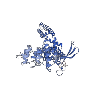 24086_7mz9_D_v1-1
Cryo-EM structure of minimal TRPV1 with 1 partially bound RTX