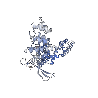 24088_7mzb_A_v1-1
Cryo-EM structure of minimal TRPV1 with 3 bound RTX and 1 perturbed PI