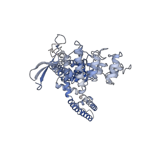 24088_7mzb_B_v1-1
Cryo-EM structure of minimal TRPV1 with 3 bound RTX and 1 perturbed PI