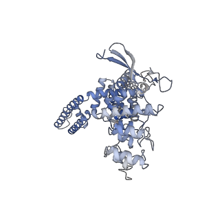 24088_7mzb_C_v1-1
Cryo-EM structure of minimal TRPV1 with 3 bound RTX and 1 perturbed PI