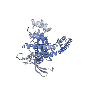 24089_7mzc_A_v1-1
Cryo-EM structure of minimal TRPV1 with RTX bound in C1 state