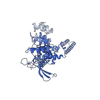 24090_7mzd_A_v1-1
Cryo-EM structure of minimal TRPV1 with RTX bound in C2 state
