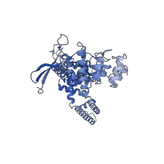 24090_7mzd_B_v1-1
Cryo-EM structure of minimal TRPV1 with RTX bound in C2 state