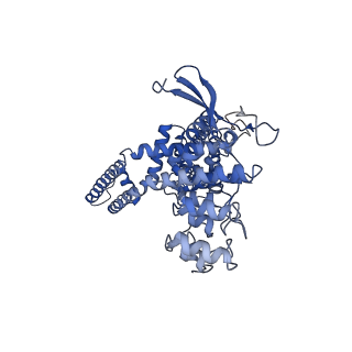 24090_7mzd_C_v1-1
Cryo-EM structure of minimal TRPV1 with RTX bound in C2 state