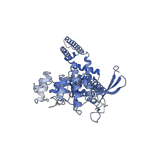 24090_7mzd_D_v1-1
Cryo-EM structure of minimal TRPV1 with RTX bound in C2 state