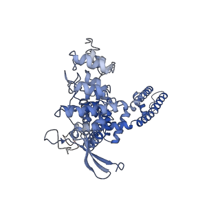 24091_7mze_A_v1-1
Cryo-EM structure of minimal TRPV1 with 2 bound RTX in opposite pockets