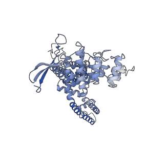 24091_7mze_B_v1-1
Cryo-EM structure of minimal TRPV1 with 2 bound RTX in opposite pockets