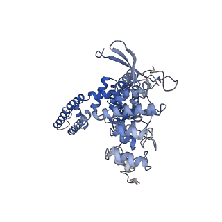 24091_7mze_C_v1-1
Cryo-EM structure of minimal TRPV1 with 2 bound RTX in opposite pockets