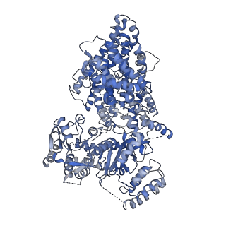 3583_5mz6_1_v1-4
Cryo-EM structure of a Separase-Securin complex from Caenorhabditis elegans at 3.8 A resolution