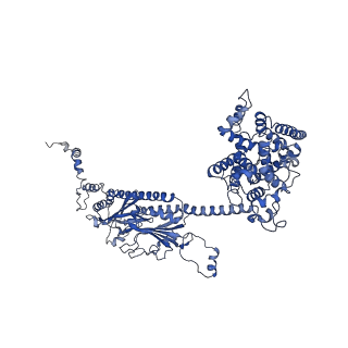 9297_6mzb_A_v2-0
Cryo-EM structure of phosphodiesterase 6
