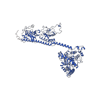 9297_6mzb_B_v2-0
Cryo-EM structure of phosphodiesterase 6