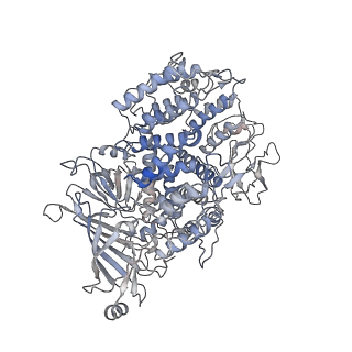 9298_6mzc_B_v1-4
Human TFIID BC core