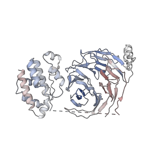 9298_6mzc_G_v1-4
Human TFIID BC core