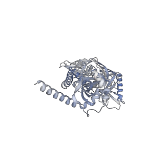 9303_6mzj_A_v1-1
Germline VRC01 antibody recognition of a modified clade C HIV-1 envelope trimer, 2 Fabs bound, sharpened map