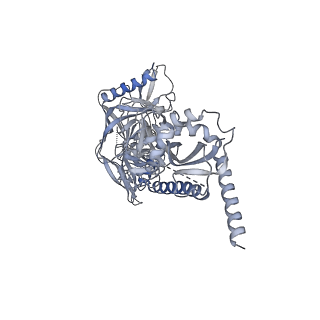 9303_6mzj_B_v1-1
Germline VRC01 antibody recognition of a modified clade C HIV-1 envelope trimer, 2 Fabs bound, sharpened map