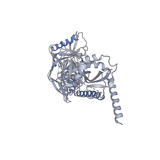 9303_6mzj_B_v2-0
Germline VRC01 antibody recognition of a modified clade C HIV-1 envelope trimer, 2 Fabs bound, sharpened map