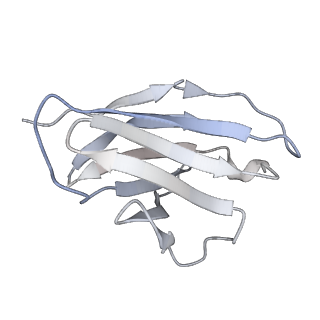 9303_6mzj_C_v2-0
Germline VRC01 antibody recognition of a modified clade C HIV-1 envelope trimer, 2 Fabs bound, sharpened map