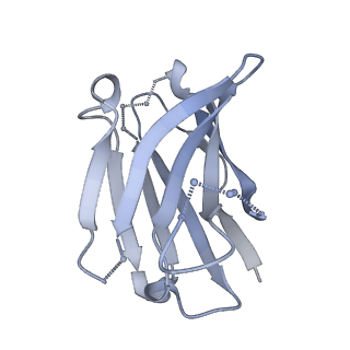 9303_6mzj_D_v3-0
Germline VRC01 antibody recognition of a modified clade C HIV-1 envelope trimer, 2 Fabs bound, sharpened map