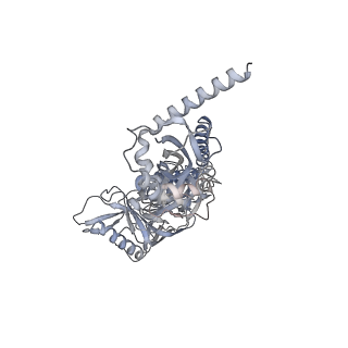 9303_6mzj_E_v1-1
Germline VRC01 antibody recognition of a modified clade C HIV-1 envelope trimer, 2 Fabs bound, sharpened map