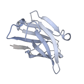 9303_6mzj_H_v1-1
Germline VRC01 antibody recognition of a modified clade C HIV-1 envelope trimer, 2 Fabs bound, sharpened map
