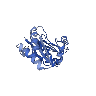9307_6mzu_A_v1-2
Cryo-EM structure of the HO BMC shell: BMC-TD focused structure, closed state