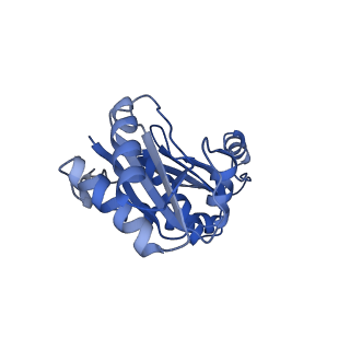 9307_6mzu_A_v1-3
Cryo-EM structure of the HO BMC shell: BMC-TD focused structure, closed state