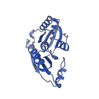 9307_6mzu_B_v1-2
Cryo-EM structure of the HO BMC shell: BMC-TD focused structure, closed state
