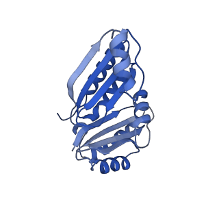 9307_6mzu_C_v1-2
Cryo-EM structure of the HO BMC shell: BMC-TD focused structure, closed state