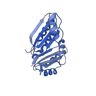 9307_6mzu_C_v1-3
Cryo-EM structure of the HO BMC shell: BMC-TD focused structure, closed state