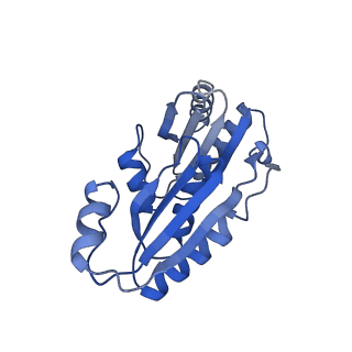 9307_6mzu_D_v1-2
Cryo-EM structure of the HO BMC shell: BMC-TD focused structure, closed state