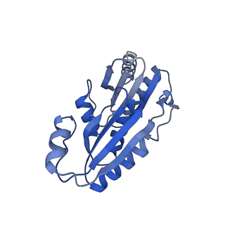 9307_6mzu_D_v1-3
Cryo-EM structure of the HO BMC shell: BMC-TD focused structure, closed state